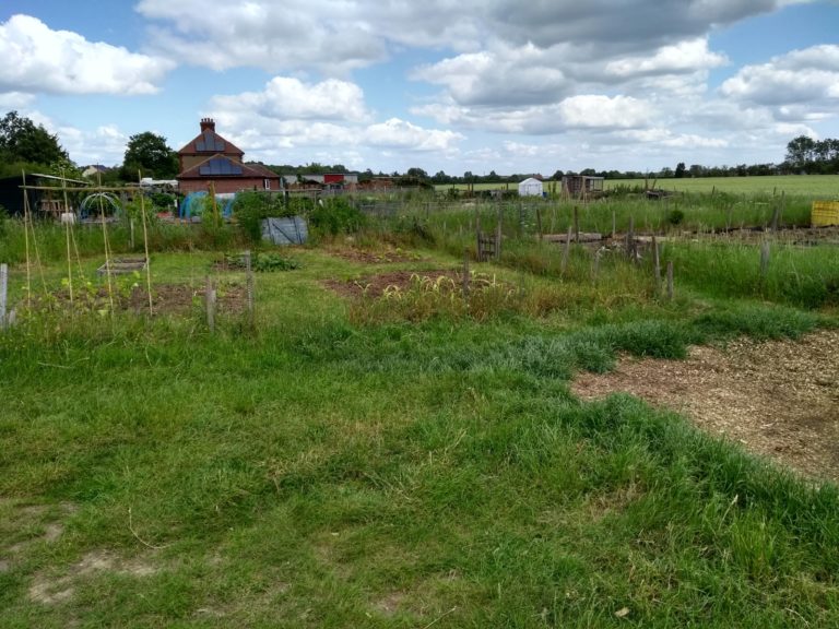 Allotments